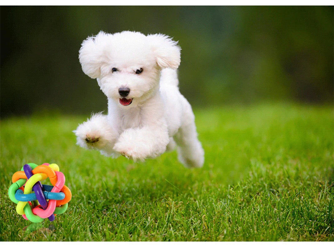 Dog Bite Resistant Rubber Pet Chewing Playing Fetching Nice Ball Products