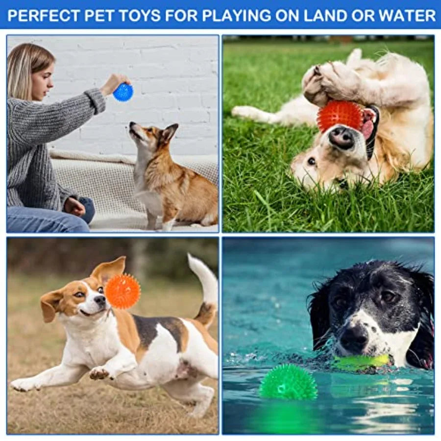 Interactive Activity Pet Toy