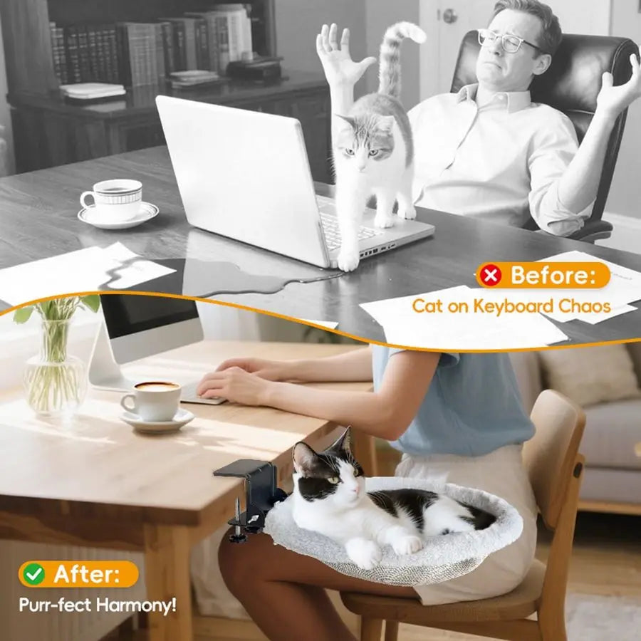Desk Mounted Cat Bed Supports 50 Lbs For Indoor Use