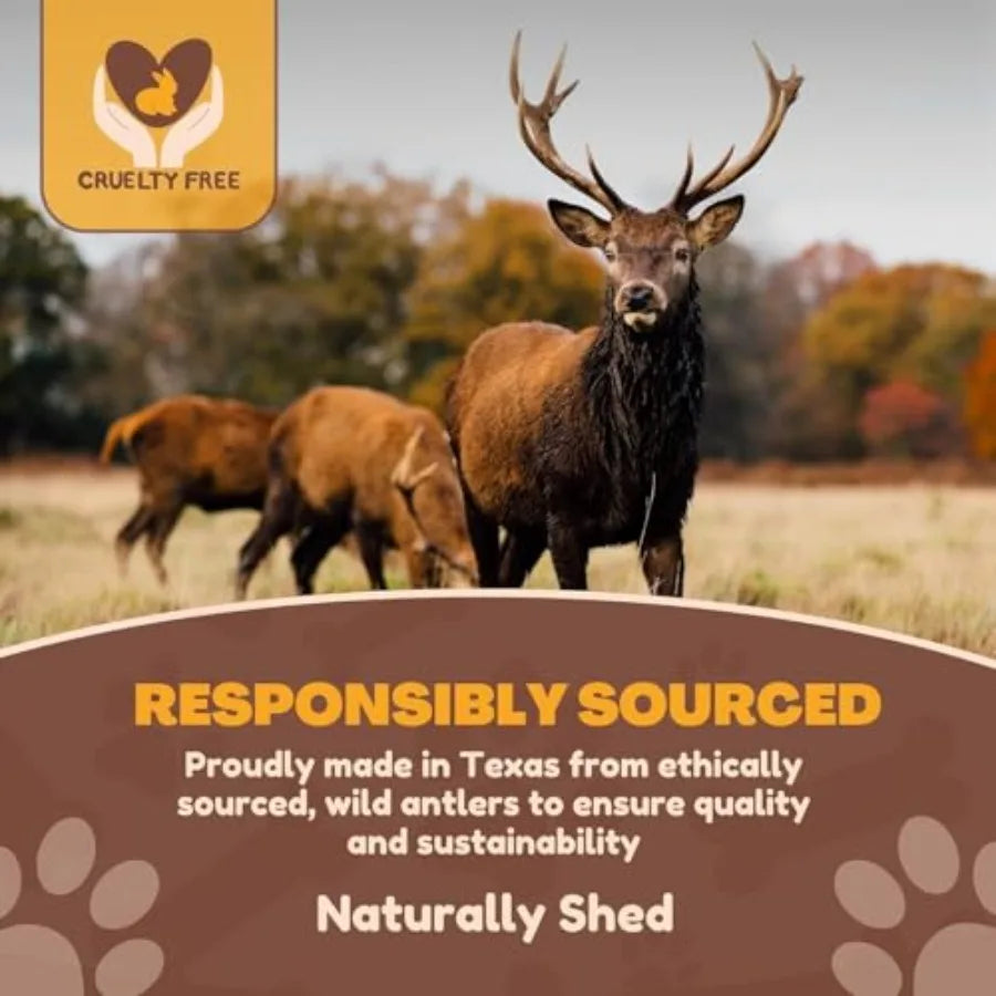 Jumbo Deer Antler Dog Chews – 2 Pack