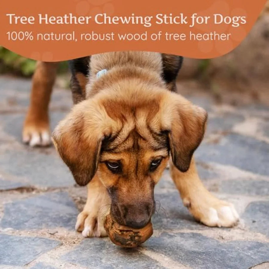 Natural Briar Wood Dog Chew Toy