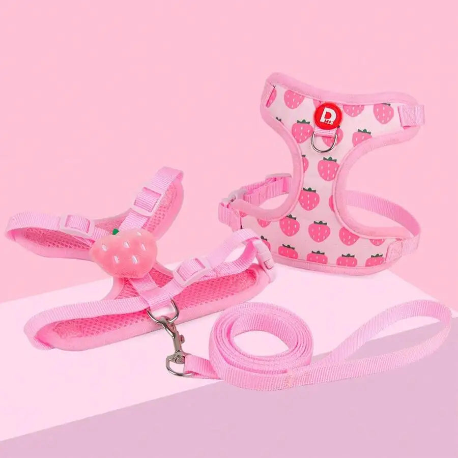 Cute Pet Harness And Leash Set For Small Dogs