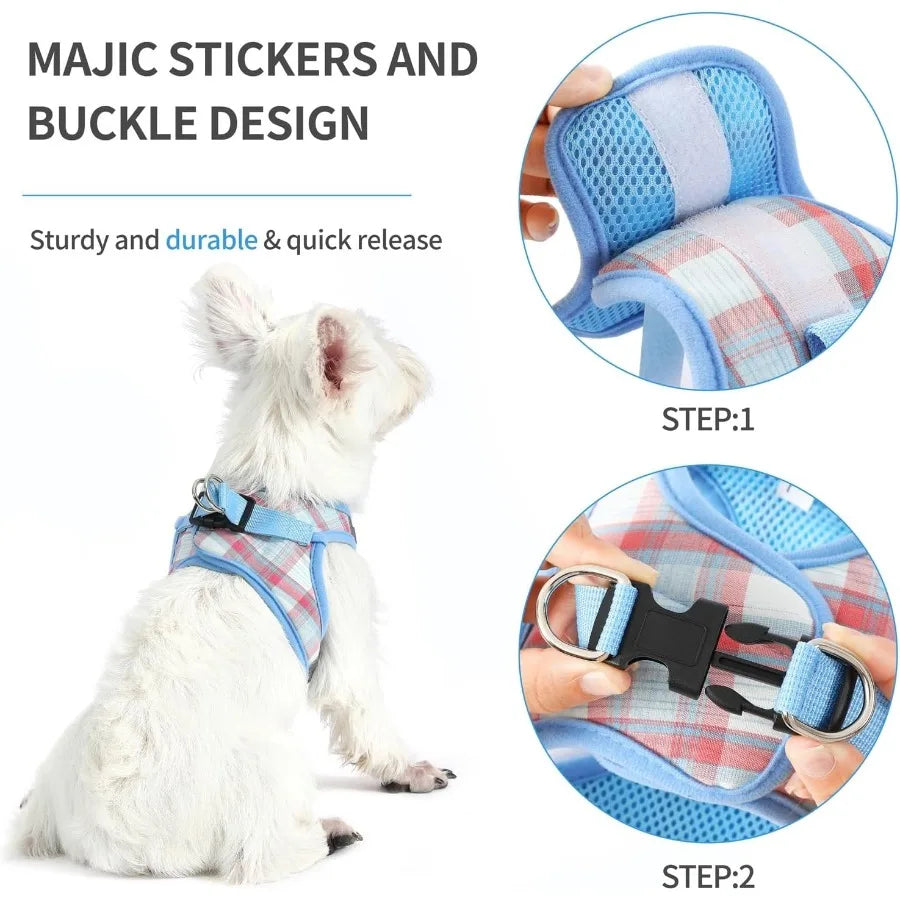 Extra Small Dog Harness and Leash