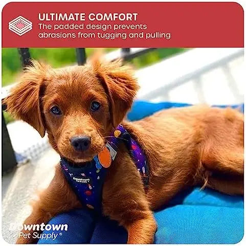Comfortable small dog harness with adjustable padded mesh and reflective trim – perfect for downtown pet supply needs.