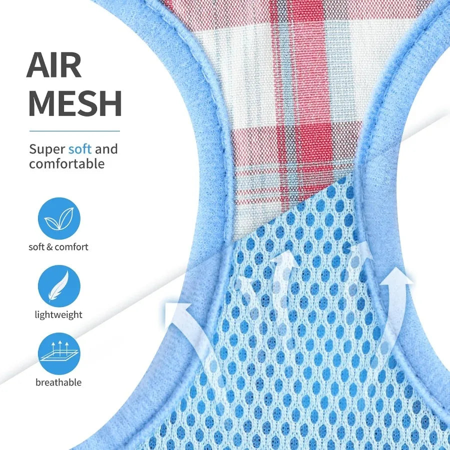 Extra Small Dog Harness and Leash