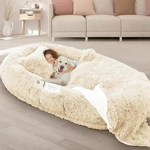 Oversized Memory Foam Dog Bed For Large Pets With Pillow
