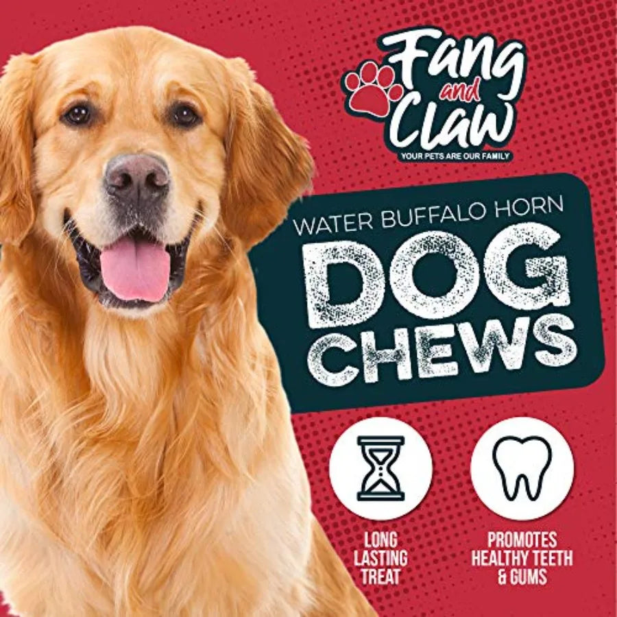 Water Buffalo Horn Dog Chew 4 Pack - Large 8"