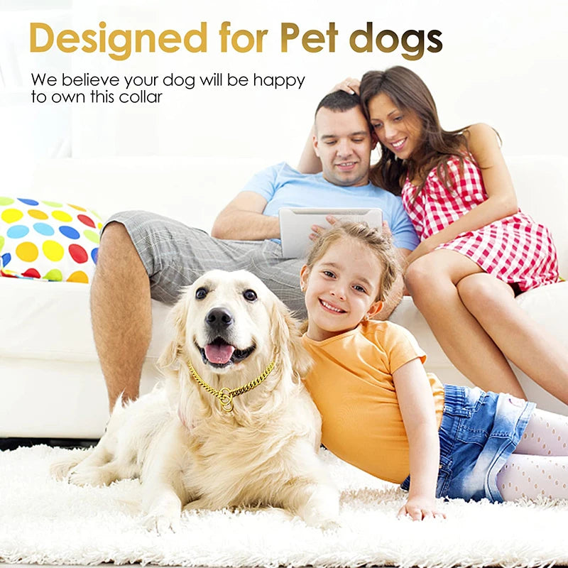 Premium Stainless Steel Dog Chain Collar & Leash Set