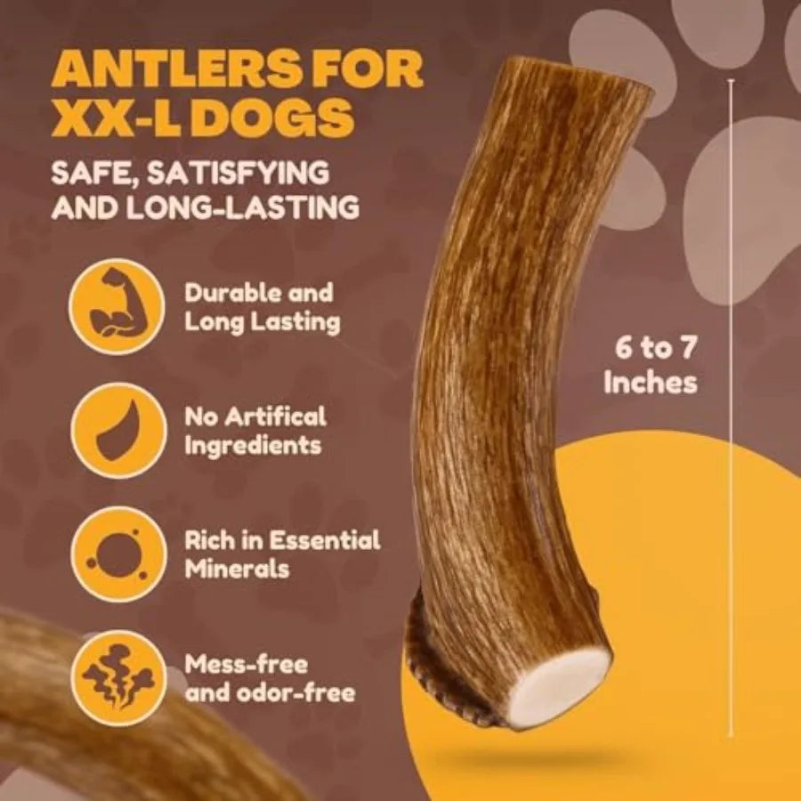 Jumbo Deer Antler Dog Chews – 2 Pack