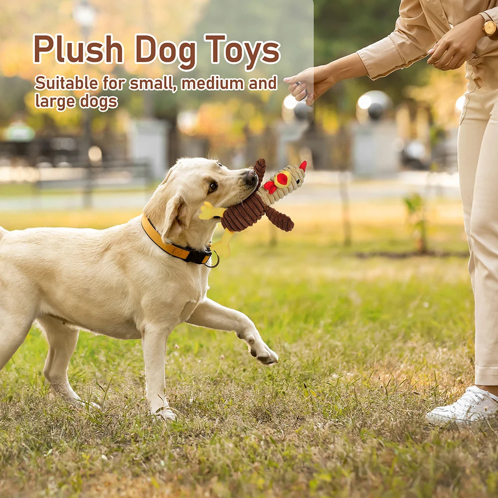 5 Pack Dog Toys Plush Dog Squeaky Toys