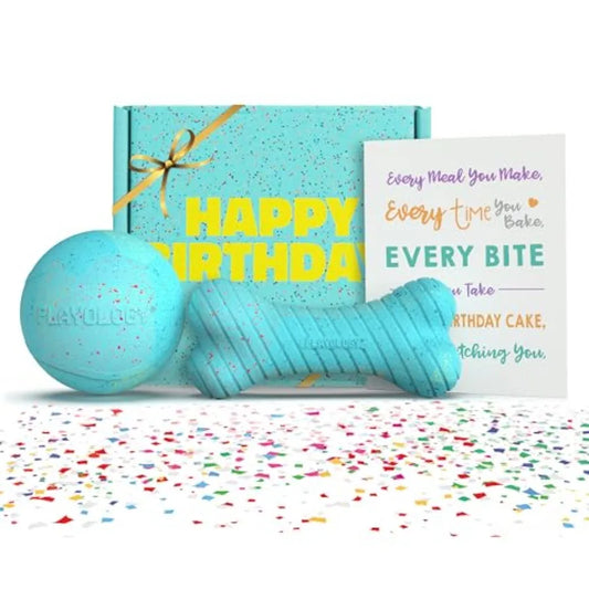 Birthday Box Dog Toys for Large Dogs