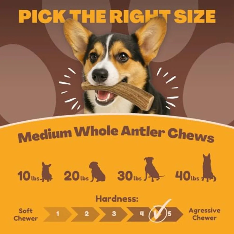 Yao Hui Huang Deer Antler Dog Chews 3-Pack Long Lasting