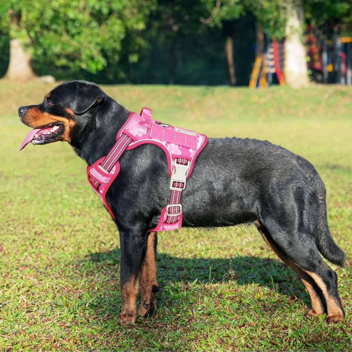 Heavy Duty Tactical Dog Harness for Large Dogs