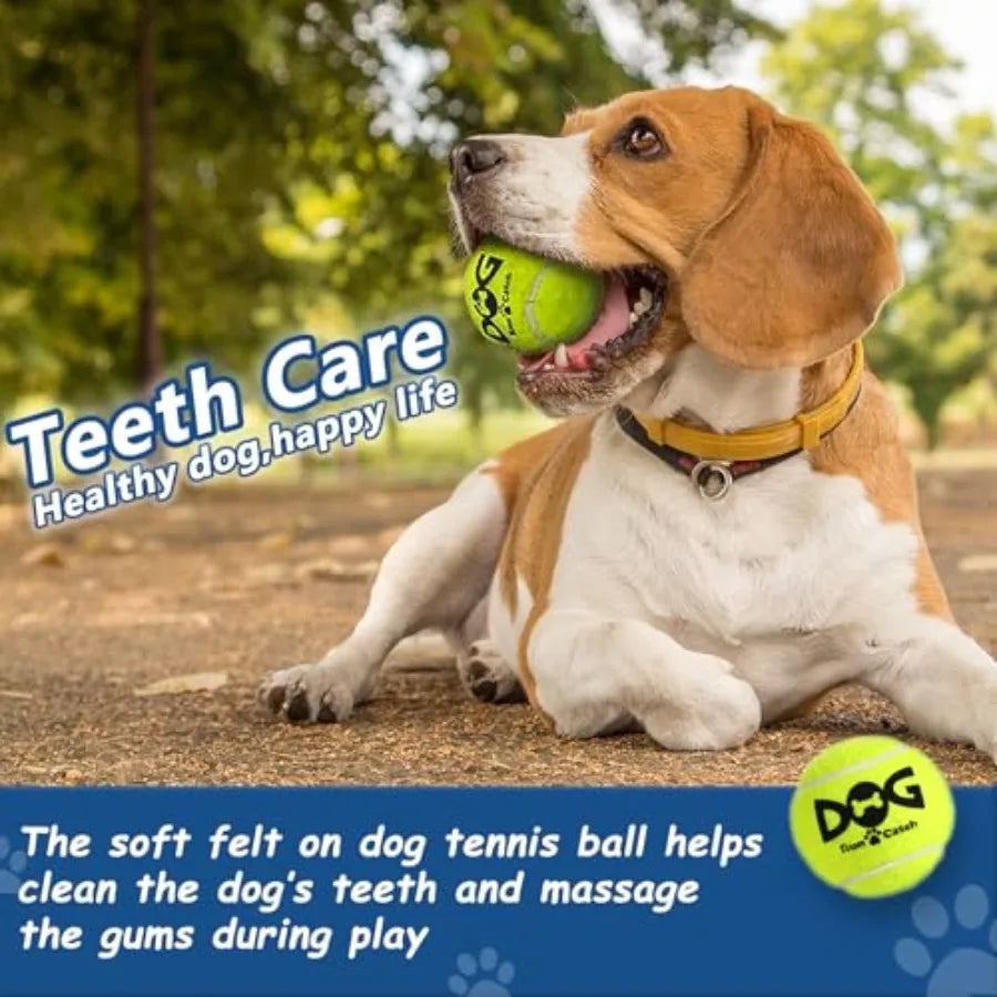 Tennis Balls for Dogs - Bulk 50 Pack 2.5'' Durable Non-Toxic Outdoor Dog Toys Balls with Mesh Bag SGS Certified Colorful Fetch