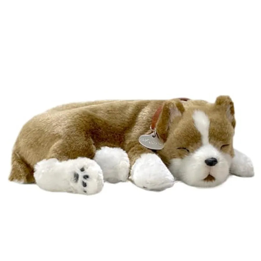 Interactive Pet Toy Pit Bull