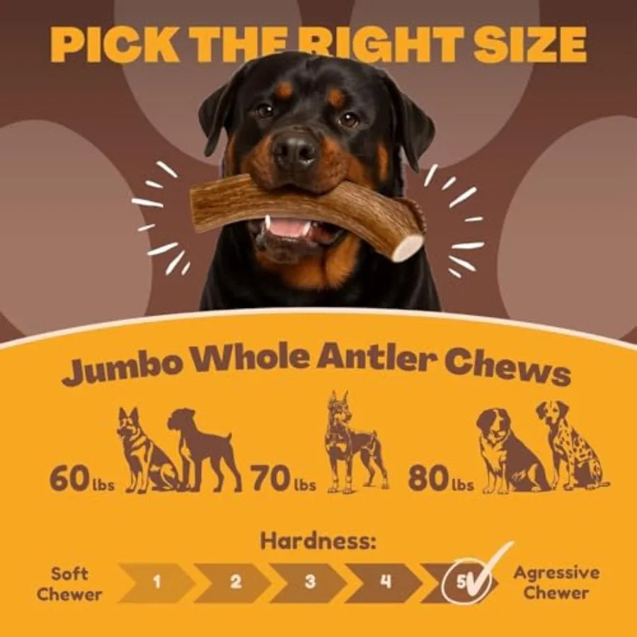 Jumbo Deer Antler Dog Chews – 2 Pack