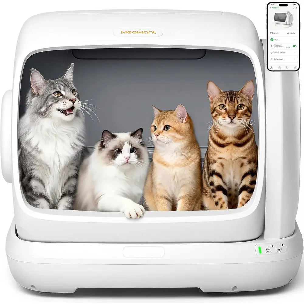 Self Cleaning Cat Litter Box Automatic Low Entrance Safety Sensor