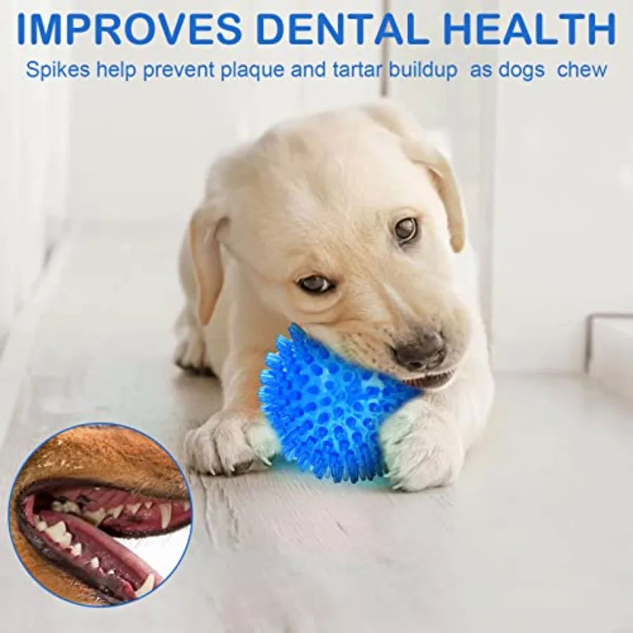 Interactive Activity Pet Toy