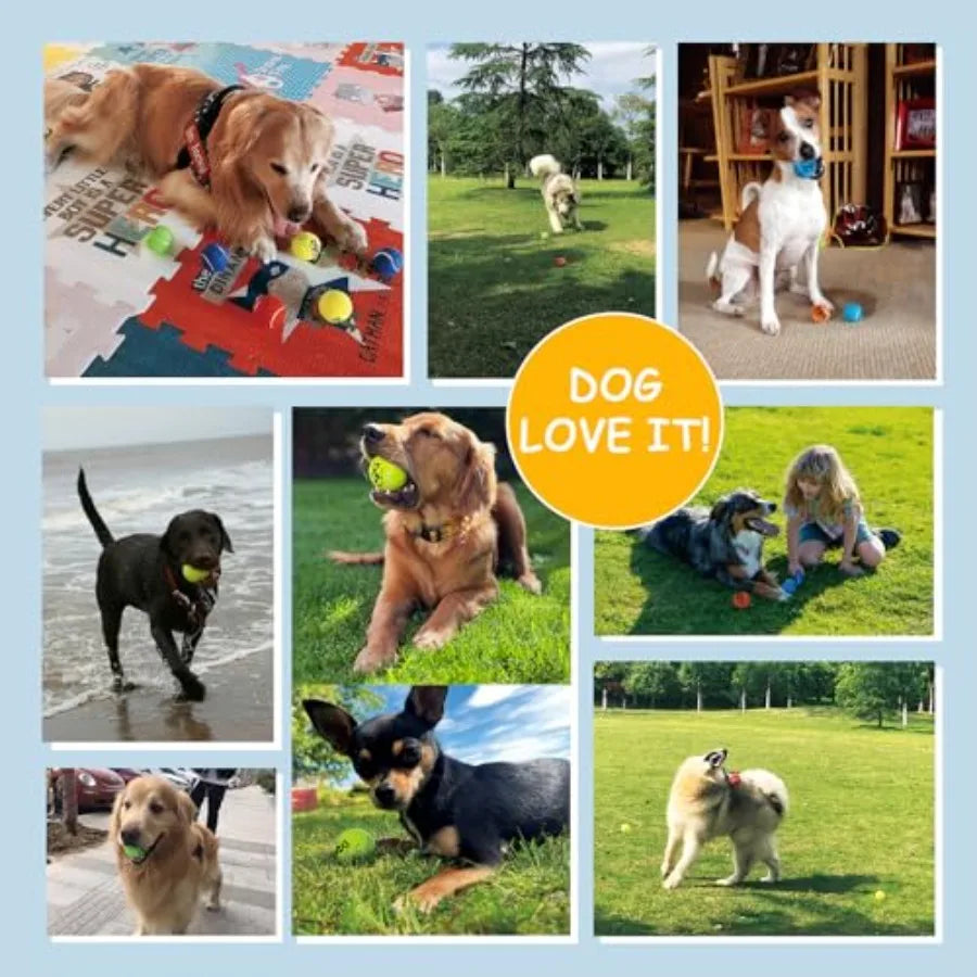 Tennis Balls for Dogs - Bulk 50 Pack 2.5'' Durable Non-Toxic Outdoor Dog Toys Balls with Mesh Bag SGS Certified Colorful Fetch
