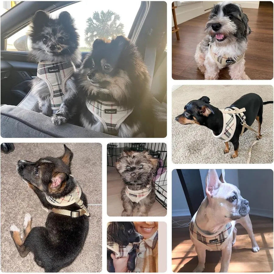 Dog Harness with Leash