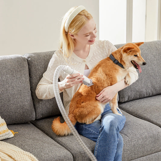 Professional Pet Grooming Vacuum Kit