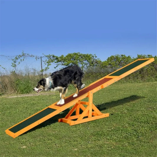 Pet Seesaw Activity Practice Dog Training