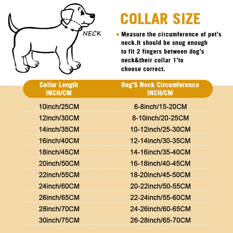 Premium Stainless Steel Dog Chain Collar & Leash Set