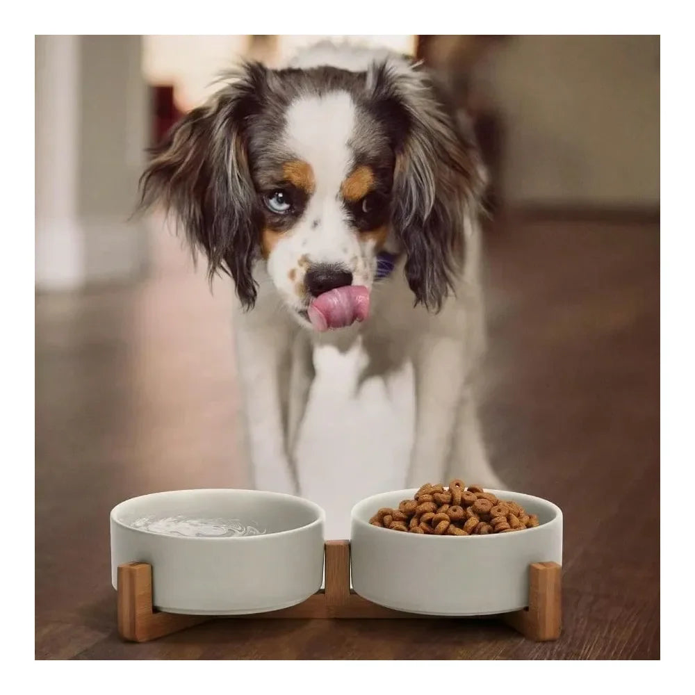 Matte Glaze Weighted Food & Water Set