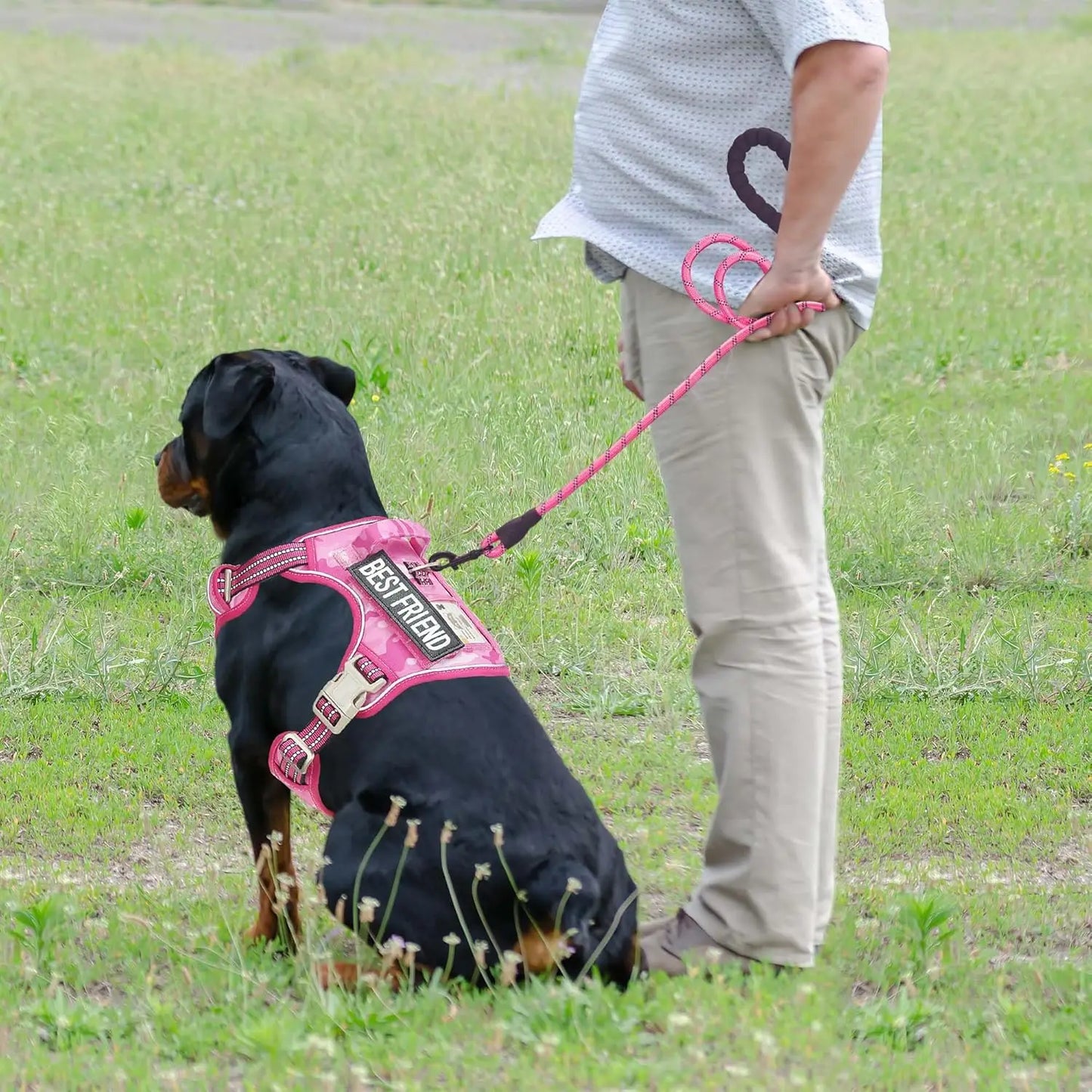 Heavy Duty Tactical Dog Harness for Large Dogs