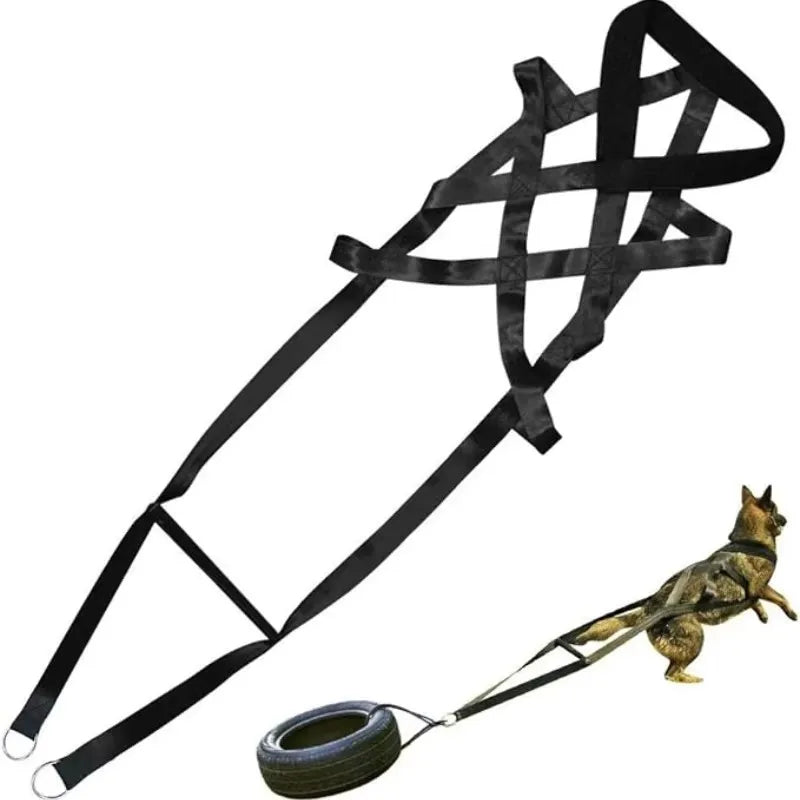 Large Working Dog Pull Training Leash