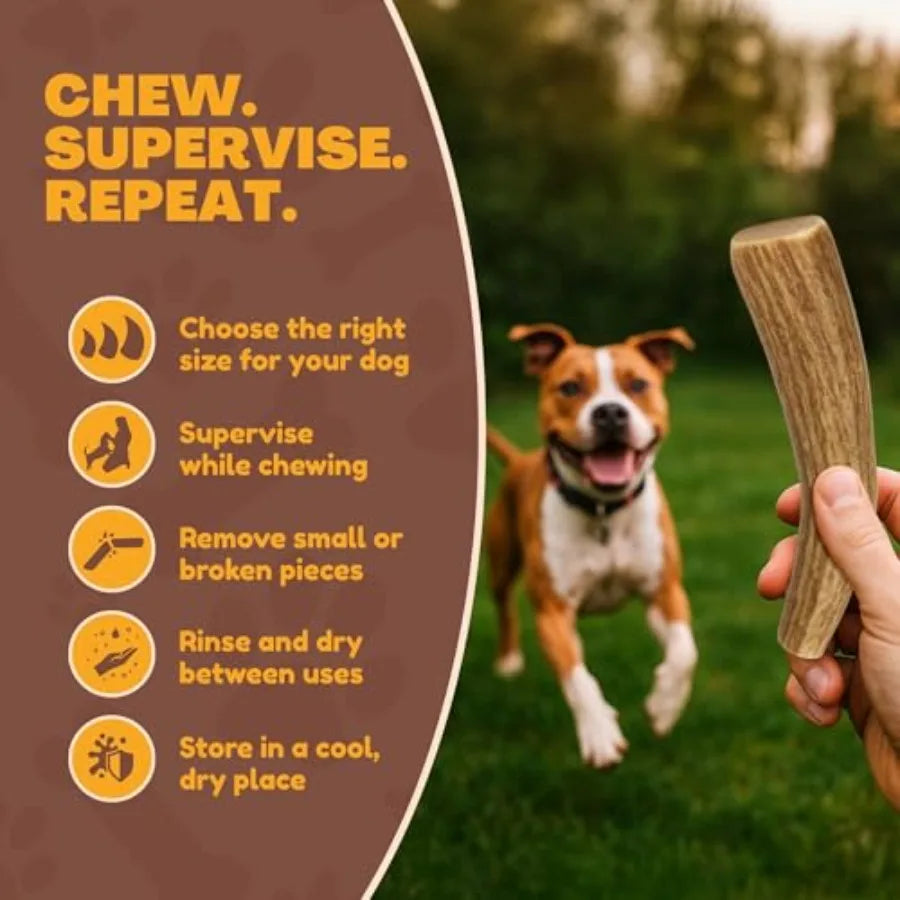 Yao Hui Huang Deer Antler Dog Chews 3-Pack Long Lasting