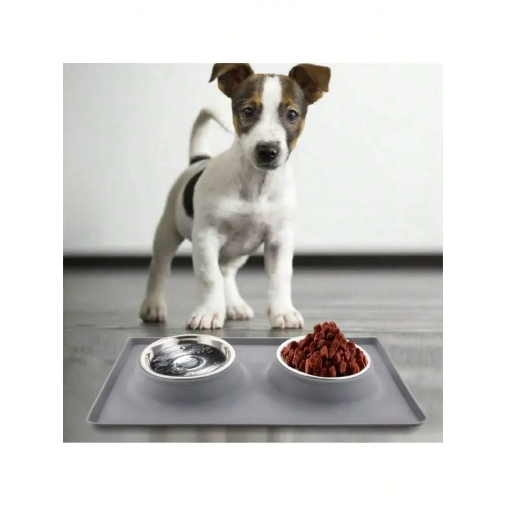 Dual Pet Feeder Bowls With No Spill Premium Silicone Mat