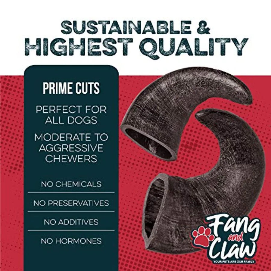 Water Buffalo Horn Dog Chew 4 Pack - Large 8"