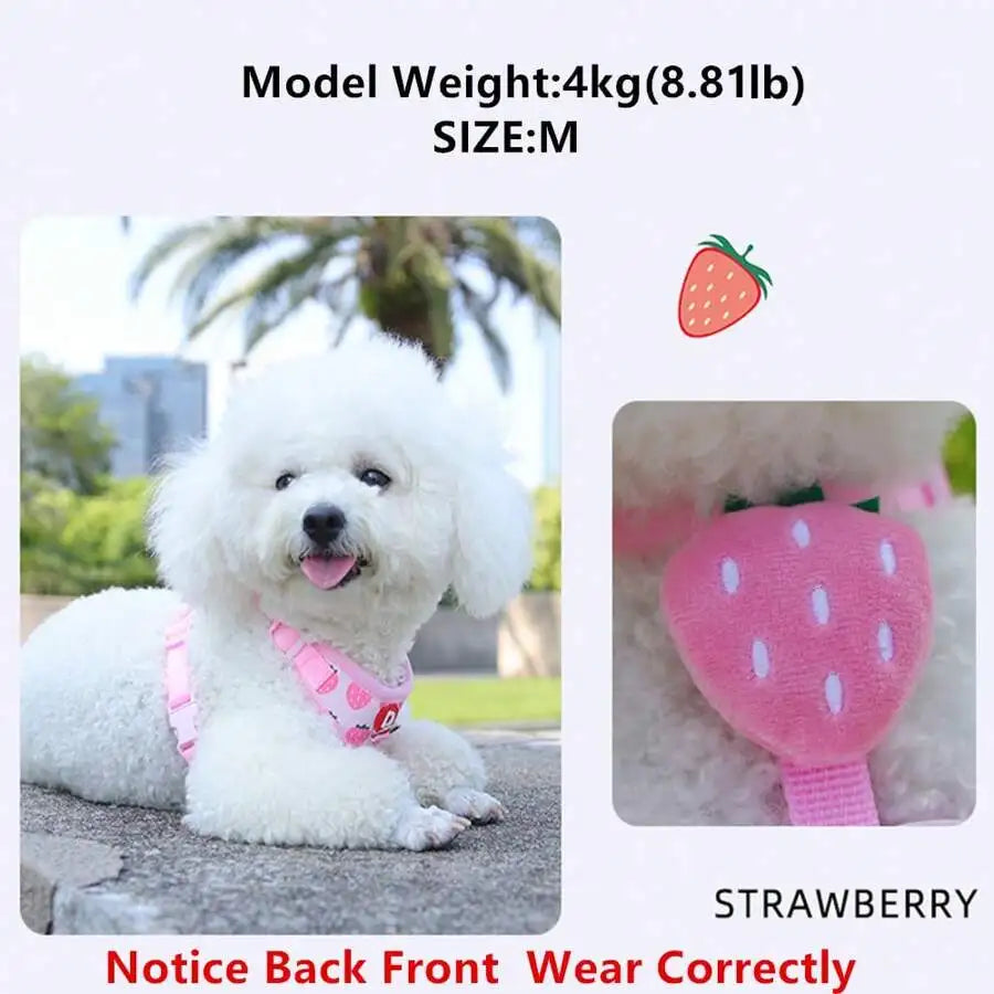 Cute Pet Harness And Leash Set For Small Dogs