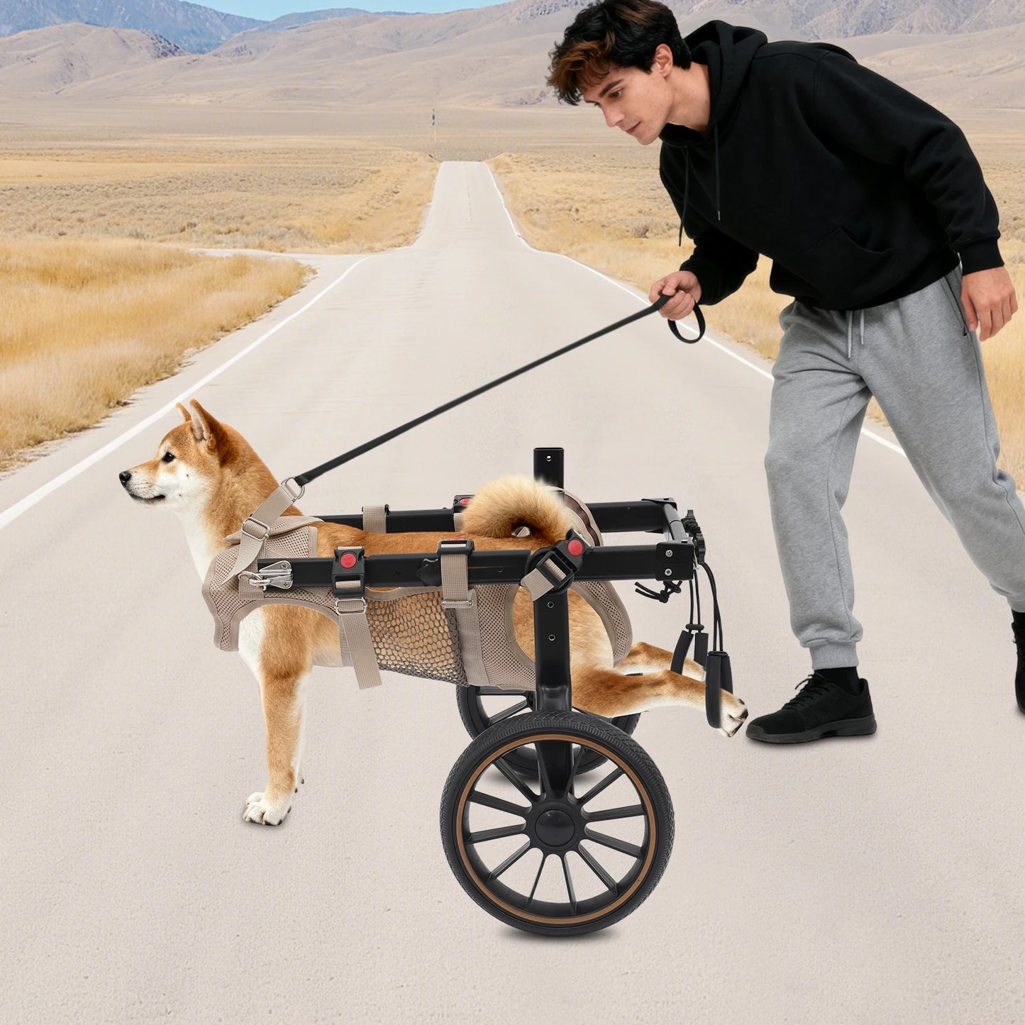 Adjustable Pet Trolley Pet Dog Wheelchair
