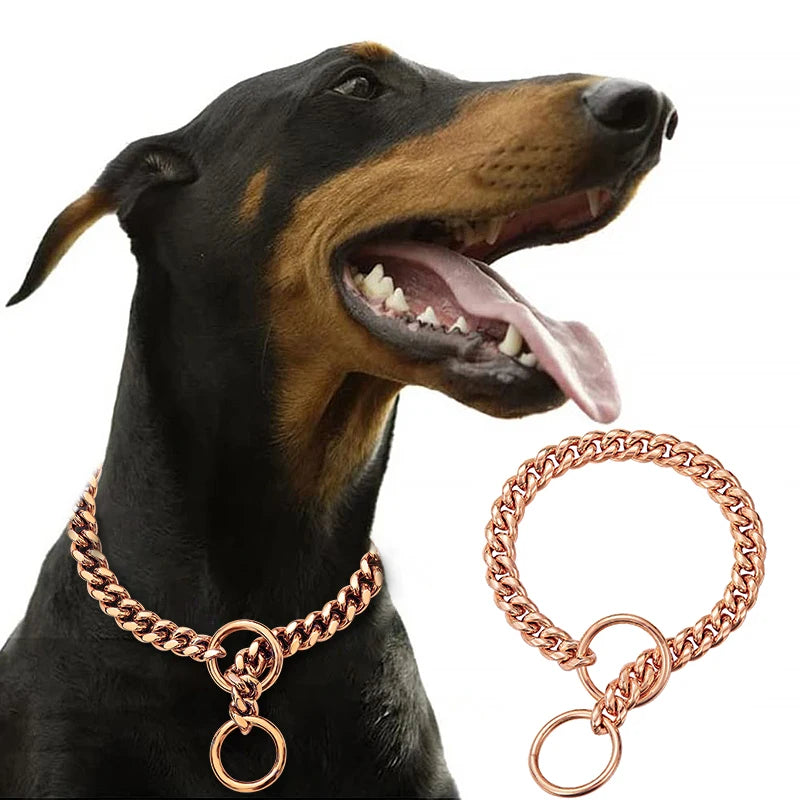 Premium Stainless Steel Dog Chain Collar & Leash Set