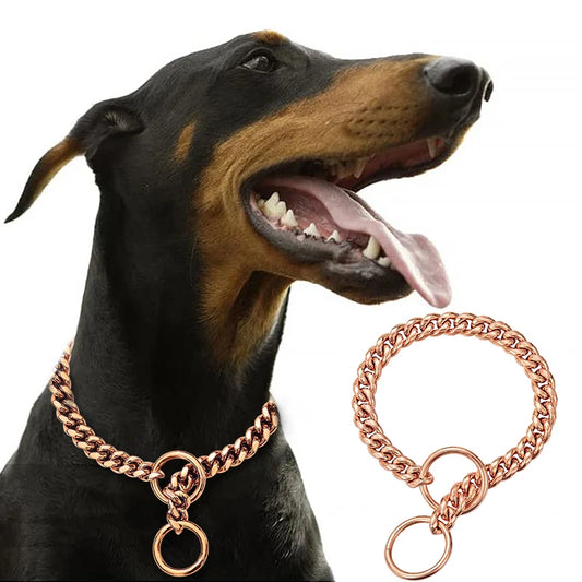 Premium Stainless Steel Dog Chain Collar & Leash Set