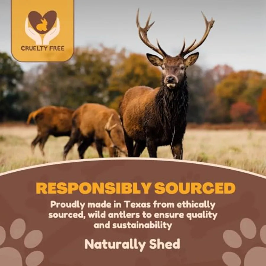 Premium Split Elk and Red Deer Antlers for Dogs
