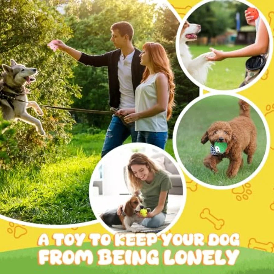 20-Pack Latex Squeaky Dog Toys – Interactive Fetch & Chew Toy Set