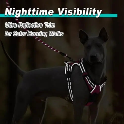 Adjustable Barkbaay Pet Harness for Dogs