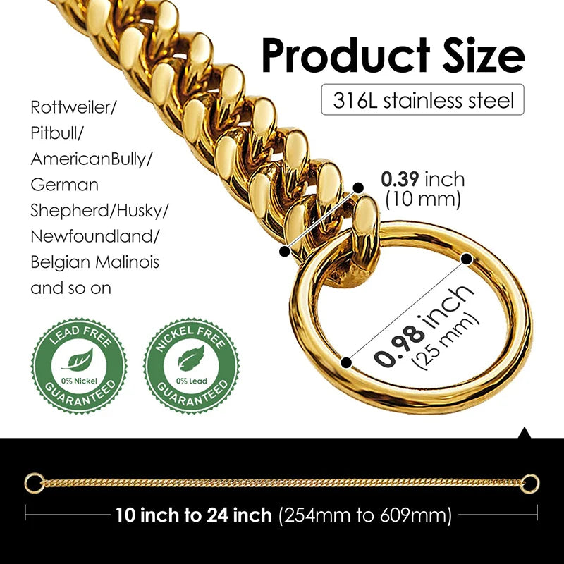 Premium Stainless Steel Dog Chain Collar & Leash Set