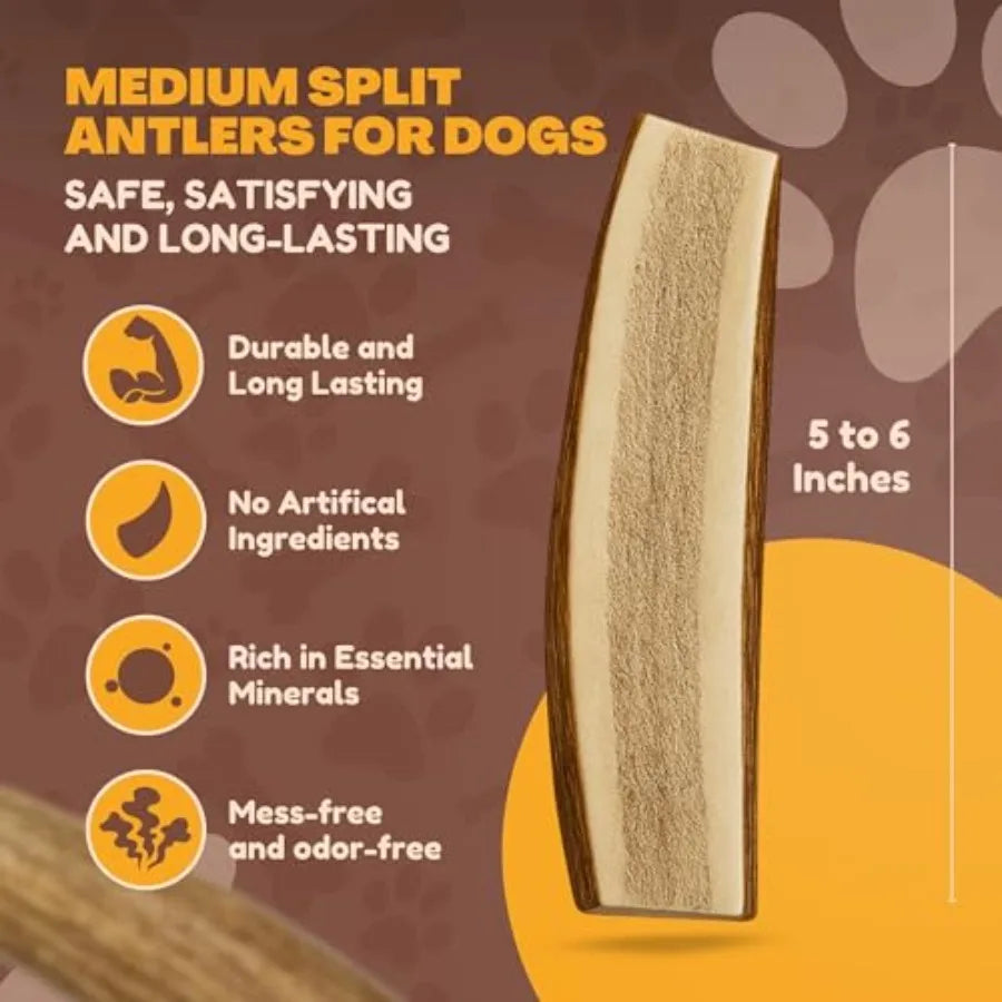 Premium Split Elk and Red Deer Antlers for Dogs