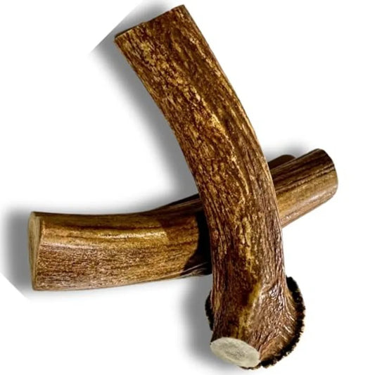 Jumbo Deer Antler Dog Chews – 2 Pack