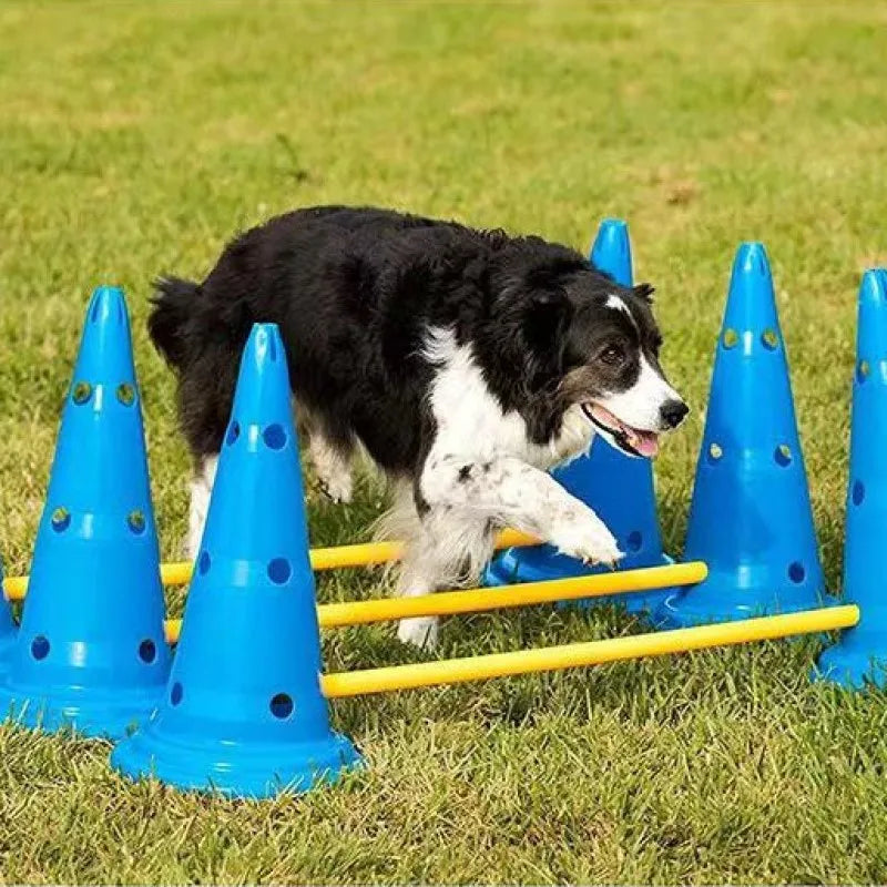 Pet Agility Training Set Jumping Bar Dog Obstacle Training