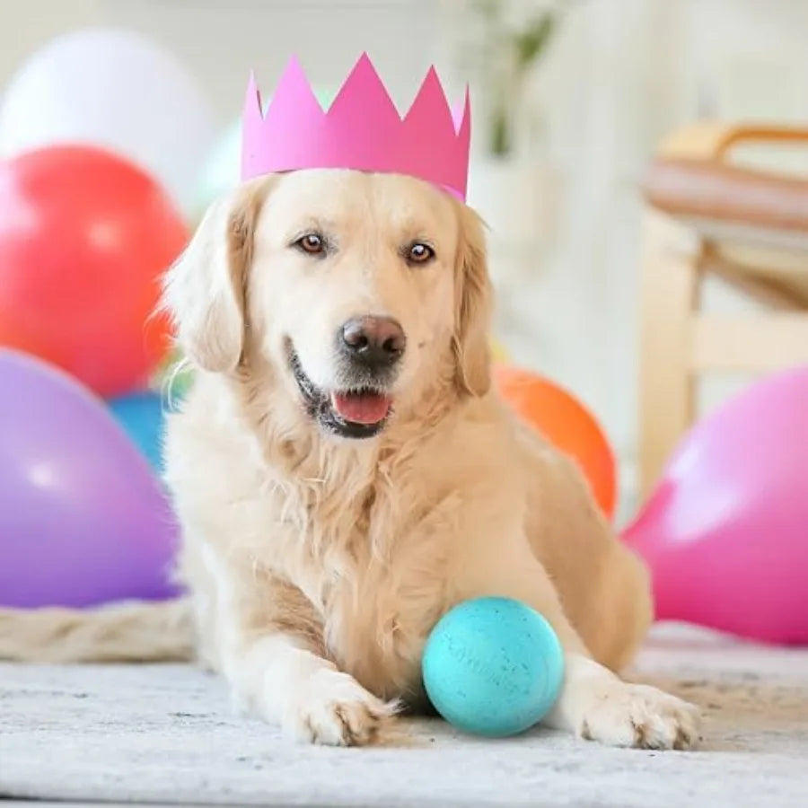 Birthday Box Dog Toys for Large Dogs