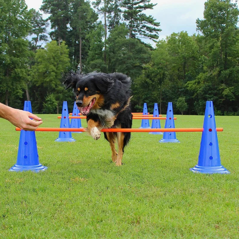 Pet Agility Training Set Jumping Bar Dog Obstacle Training