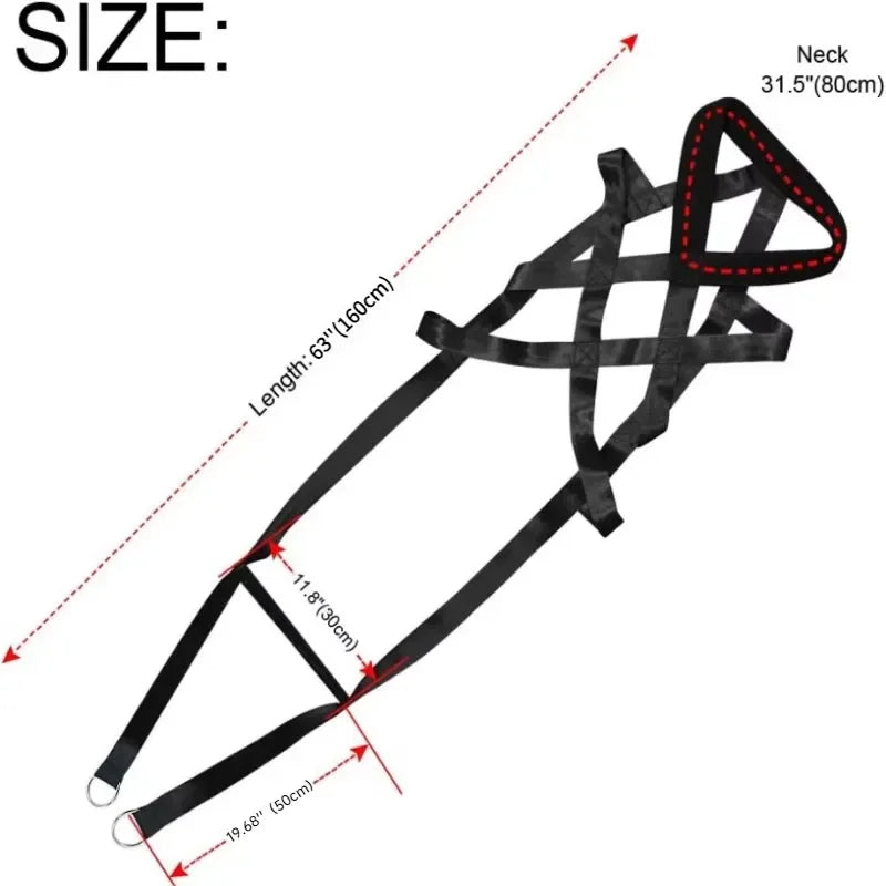 Large Working Dog Pull Training Leash