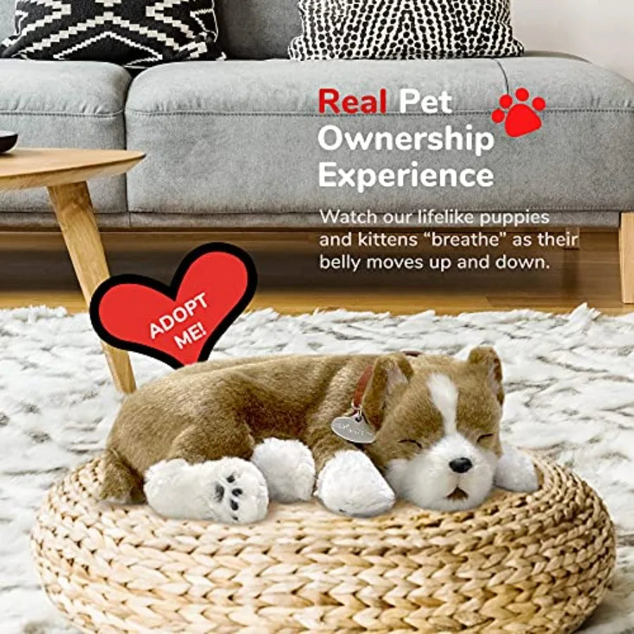 Interactive Pet Toy Pit Bull
