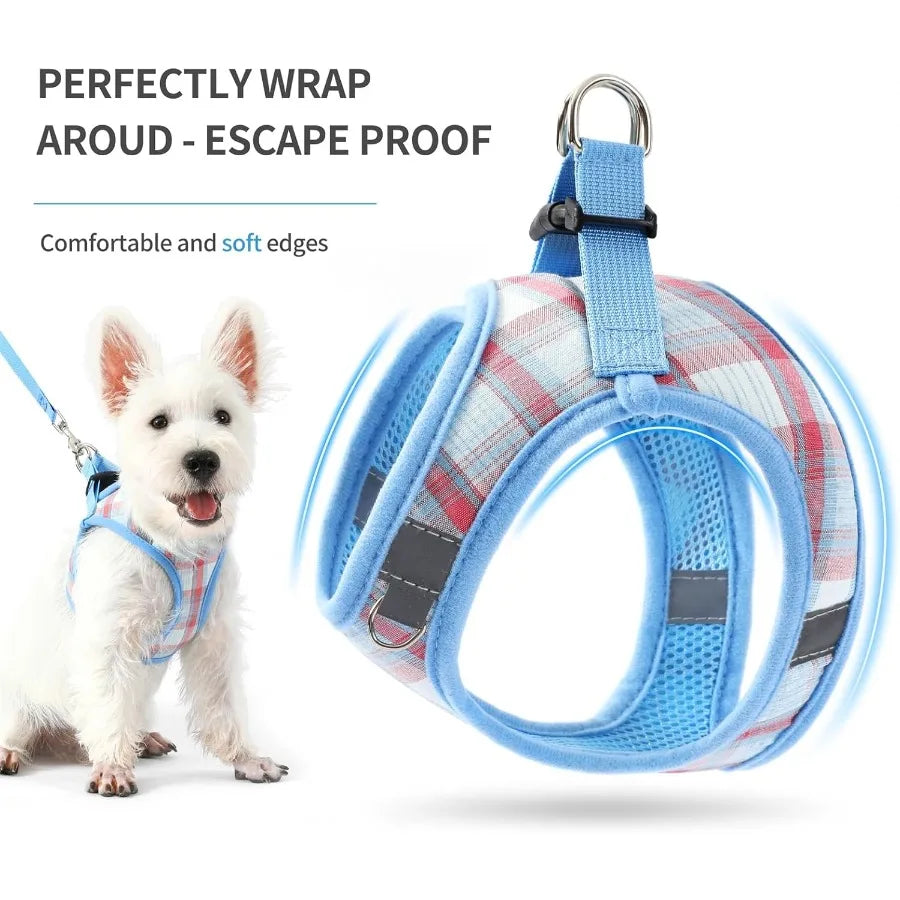 Extra Small Dog Harness and Leash