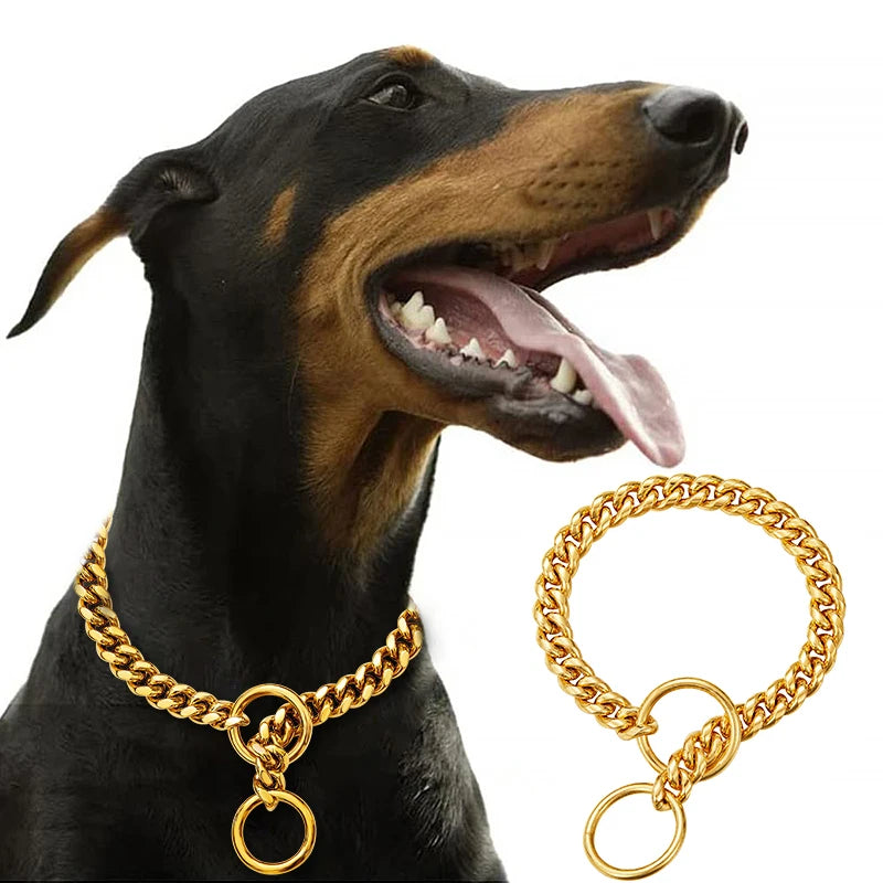 Premium Stainless Steel Dog Chain Collar & Leash Set